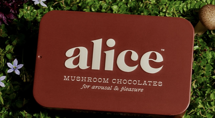 Alice Mushrooms- Happy Ending