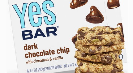 YES Bar Dark Chocolate Chip with Cinnamon & Vanilla