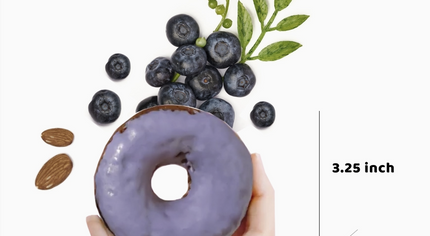 Blueberry Donut (Planet Bake)