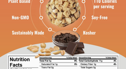 The GFB: Dark Chocolate Peanut Butter Protein Bites