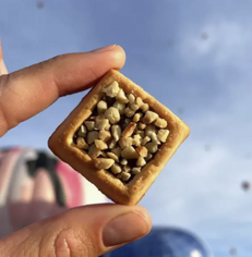 Michel et Augustin Cookie Squares Milk Chocolate Toasted Hazelnut